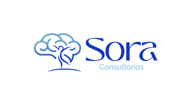 Sora Consultorios